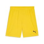 Teamgoal Shorts