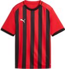 teamLIGA26 Striped Jersey Jr