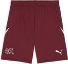 SFV Shorts Replica
