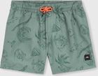 MIX & Match Cali Print 13'' Swim Shorts