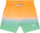 Swim Shorts AOP & Magic 720399