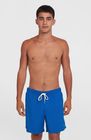 O'neill Vert 16'' Swimshorts