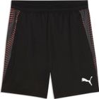 Individualfinal Shorts