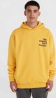Future Surf Society Hoodie