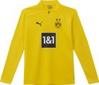 BVB Training 1/4 Zip Top with Sponsor