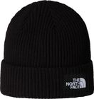 Salty Lined Beanie