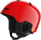 Fornix Mips