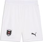 öfb Shorts Replica