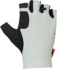Glove Ultd. SF