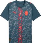 Fcsd Away Jersey Replica w/o Sponsor