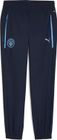 Mcfc Pumatech Woven Pants