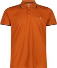 MAN Polo