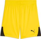 teamLIGA26 Shorts