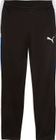 Individualliga Training Pants