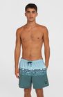 O'neill Cali Stripe 16'' Swimshorts