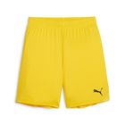 Teamgoal Shorts Jr