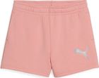 Essentials Metallic Shorts TR G