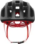 Ventral Lite