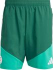 Algeria 26 Downtime Shorts Men
