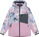 Ski Jacket Colorblock 742778