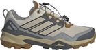 Terrex Skychaser Gore-tex Hiking Shoes