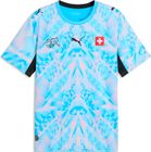 SFV Replica Match Jersey GK