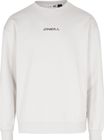 Future Surf Society Sweatshirt