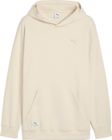 Puma Class Relaxed Pinnacle Hoodie FL
