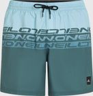 O'neill Cali Stripe 16'' Swimshorts