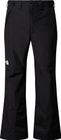 Mens Descendit Pant