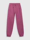 Trousers CAS F1249