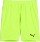 Teamgoal Shorts