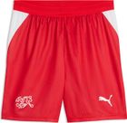FSF Away Jersey Replica