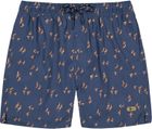 Sintral Shorts