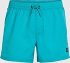 Jack O'neill Vert Retro 14'' Swim Shorts
