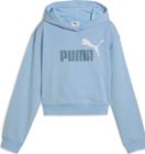 Essentials 2 Color No. 1 Logo Short Length Hoodie TR G