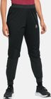 Pants Regular Length Zeroweight Warm