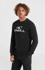 Logo Crew Sweatshirt