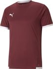 Teamliga Jersey