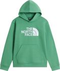 Teen TNF Essential Drew Peak Hoodie