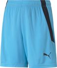 Teamliga Shorts Jr