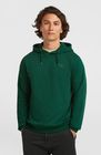 O'neill Small Logo Hoodie