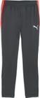 Individualliga Training Pants