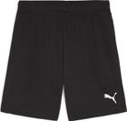 Teamgoal Shorts