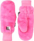 Prtpyriet Mitten