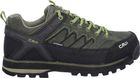Moon Low Trekking Shoes WP