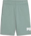 Essentials No. 1 Logo Shorts TR B
