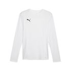 Teamgoal LS Jersey