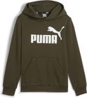 Essentials Big Logo Hoodie FL B