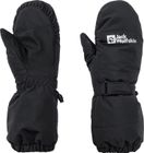2L Winter Mitten K